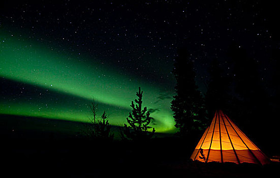 光亮,圆锥形帐篷,北极光,极光,绿色,靠近,育空地区,加拿大