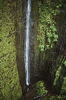 夏威夷,考艾岛,山,瀑布,仰视,火山口