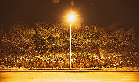 雪景路灯