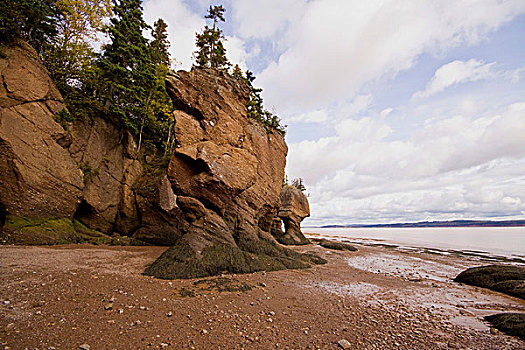 花盆,石头,霍伯威尔岩,芬地湾,新布兰斯维克,加拿大