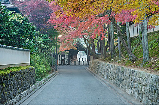 日本,京都,秋色,庙宇