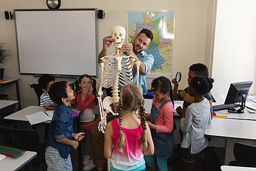 男性,教师,解释,骨骼,模型,教室