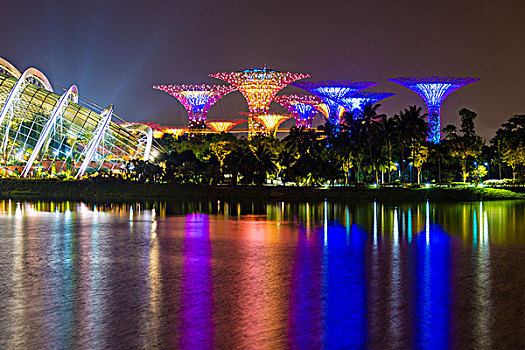 倒影,夜晚,树,花,圆顶,花园,湾,码头,城市核心区,新加坡,亚洲