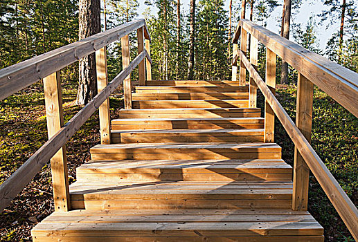 木质,楼梯,向上,树林,城镇,芬兰