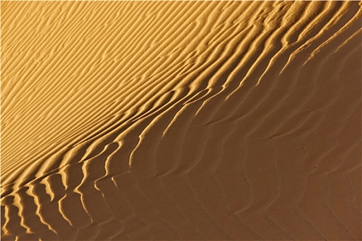 沙漠,沙子,特写,阳光