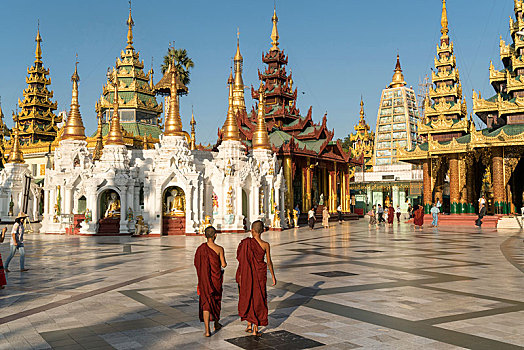 僧侣,正面,大金寺,大金塔,仰光,缅甸,亚洲