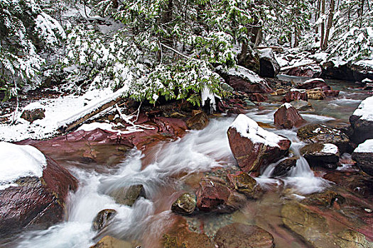早,冬天,雪,溪流,冰川国家公园,蒙大拿,美国