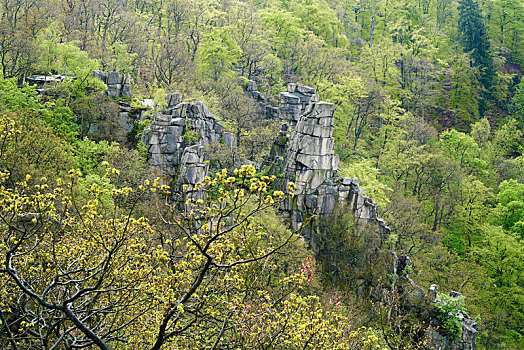 岩石构造,上方,山谷,哈尔茨山,国家公园