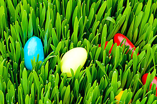 复活节,概念,彩色,蛋,绿色,玻璃