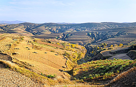 山西黄土高坡