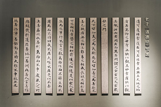 中国安徽名人馆道德经文化墙