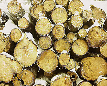树干,一堆,雪,冬天,林业,木材业,树,箱子,木头,木材,木柴,存储,干燥,燃料,场地,特写