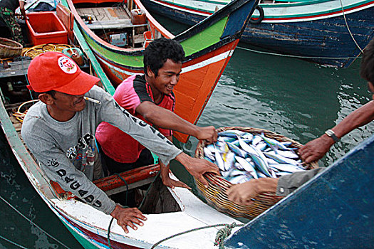 渔民,室外,鱼,船,港口,印度尼西亚,六月,2007年
