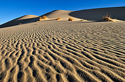 沙丘,阿尔及利亚,撒哈拉沙漠,北非,非洲