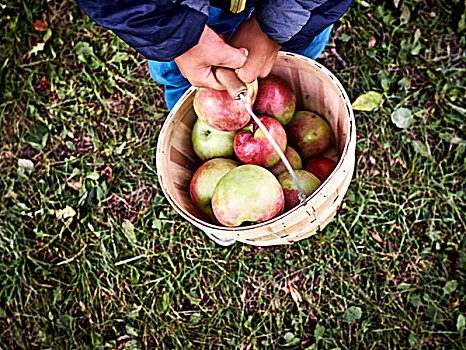 下半身,风景,男孩,桶,新鲜,苹果