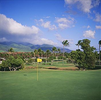 夏威夷,毛伊岛,皇家,高尔夫球场,北方,场地
