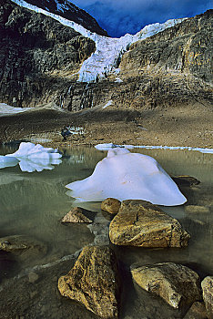 冰河,湖,山,背景,天使,结冰,碧玉国家公园,艾伯塔省,加拿大