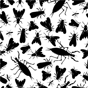 昆虫,无缝,图案