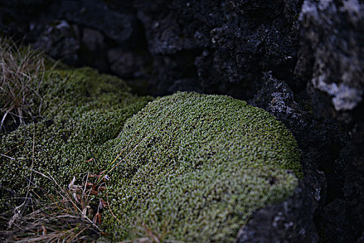 斯奈山半岛风光