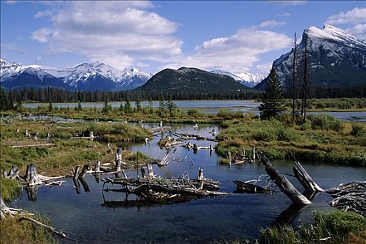 班芙国家公园,风景,艾伯塔省,加拿大,北美