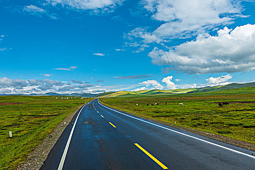 青藏高原国道道路