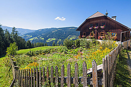 农舍,特色,别墅花园,伦高,萨尔茨堡州,奥地利