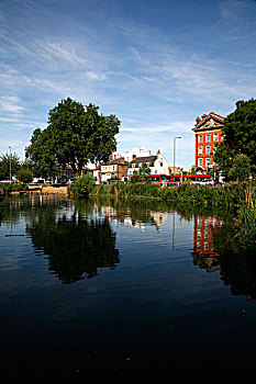 水塘,绿色,伦敦,英国