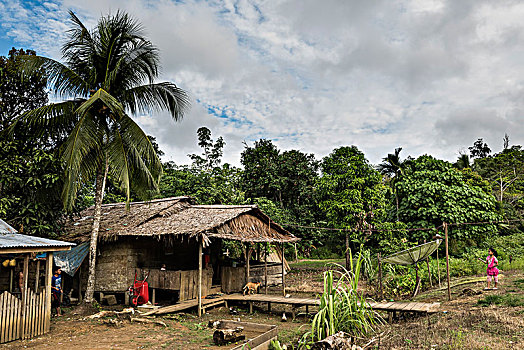 建造,木屋,捕鱼,家庭,岛屿,印度尼西亚