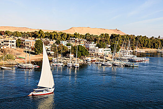 三桅帆船,靠近,象岛,尼罗河,阿斯旺,埃及
