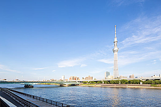 水,桥,建筑,东京,电视塔