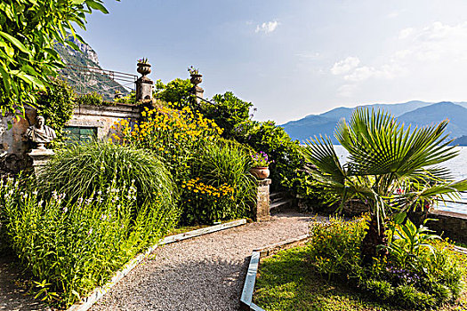 植物园,别墅,科摩湖,伦巴第,意大利