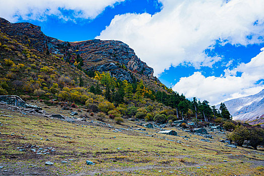 稻城亚丁秋色,秋季风光,高原雪山摄影,四川,甘孜州,秋天风景,自然风光摄影