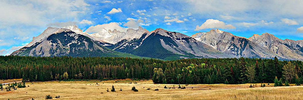 风景,全景,班芙国家公园,加拿大,雪山