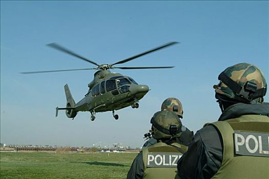 德国,欧洲直升机公司,欧盟,运输,直升飞机,使用,特警,团队,警察,飞,警队