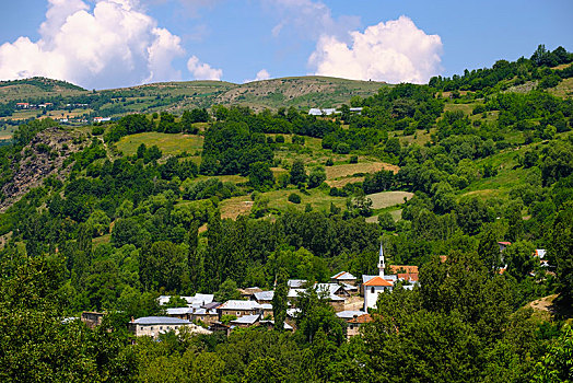 乡村,自然公园,公园,北方,阿尔巴尼亚,欧洲