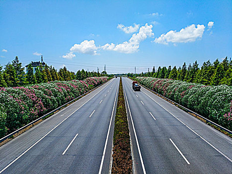 路,高速公路