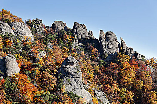 石头,树林,高处,杜恩斯坦,城堡遗迹,瓦绍,山谷,区域,下奥地利州,奥地利,欧洲