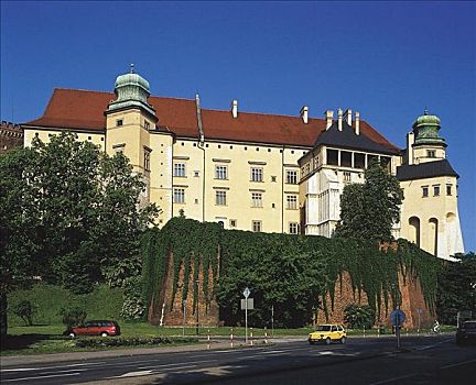 皇家,城堡,克拉科,波兰,欧洲