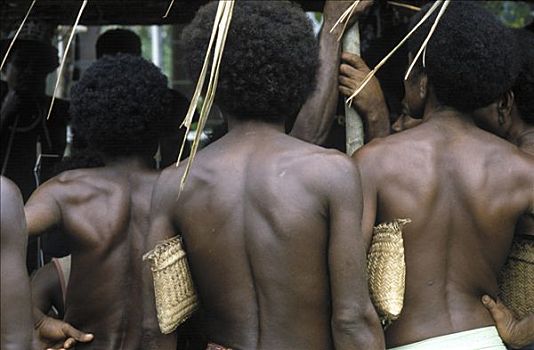 男人,传统,篮子,乡村,岛屿,巴布亚新几内亚