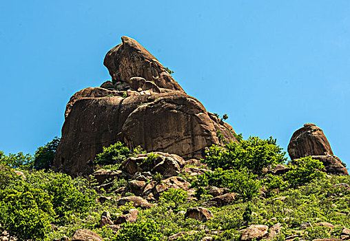 蛇山景观