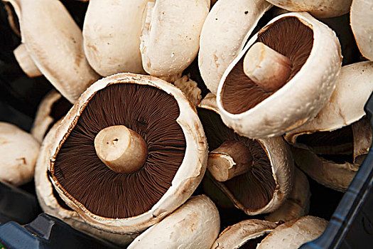 波多白洛大蘑菇,蘑菇,板条箱,农贸市场