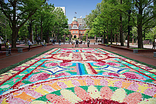 札幌,公园,花,地毯