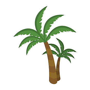 棕榈树,隔绝,白色背景,背景,棕榈科,热带,亚热带,温暖,气候温和,气候,海报,旗帜,局部,序列,旅行,世界,矢量