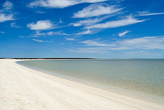 沙滩,麦尔斯堡海滩,鲨鱼湾,西澳大利亚州,澳大利亚,大洋洲