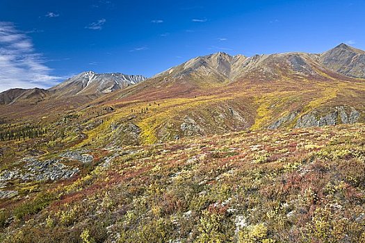 山坡,山峦,墓碑,育空,加拿大