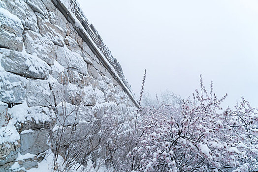 长城冰雪桃花