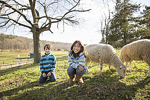 两个孩子,动物,围场,绵羊