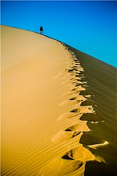 沙漠,行走,脚印,蓝天,背影