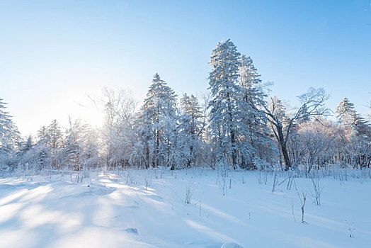 冬季长白山的雪地和雾凇