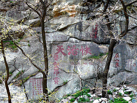 山东泰山风景区,石头上的书法艺术